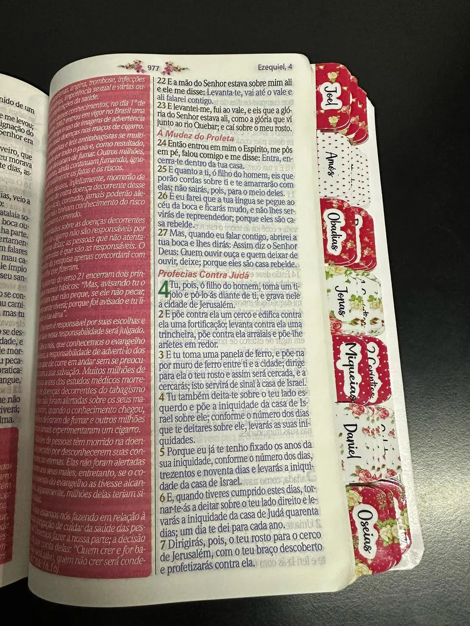 Bíblia Da Mulher Sábia - ESTUDO